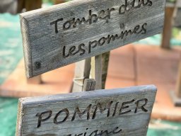 img_0748