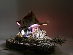 img_0986