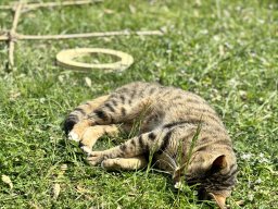 img_1063