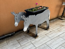 img_1559