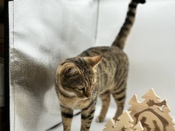 img_2189